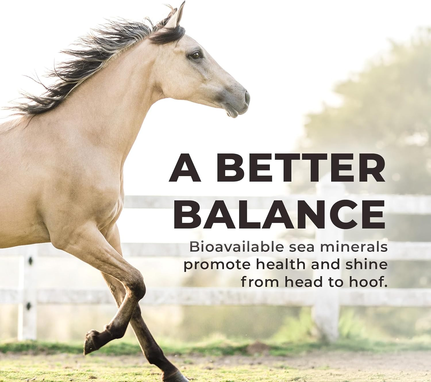 Daily Red Complete Wellness, Fortified Mineral Mix Supplement for Horses (5 LB)