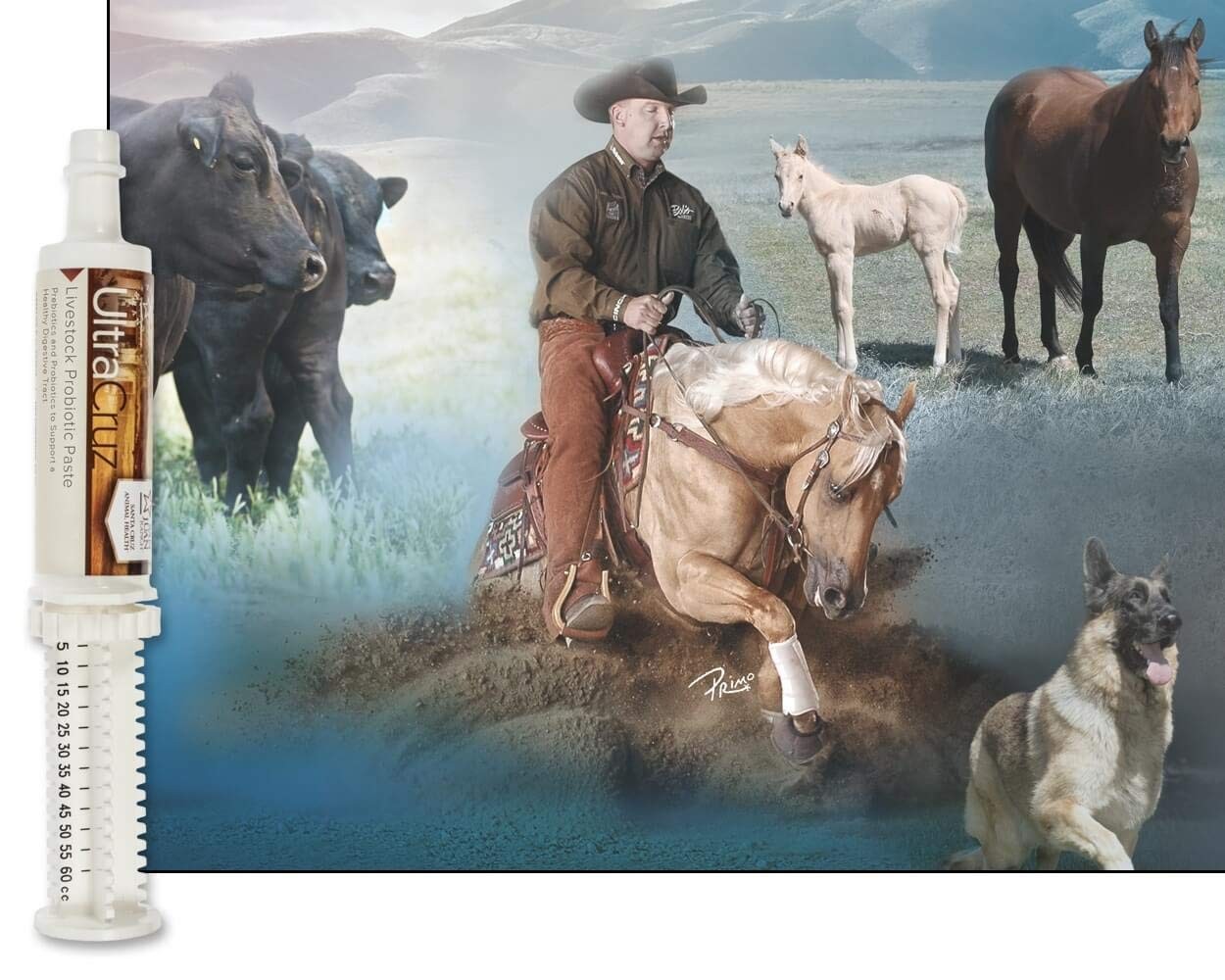 60 ml Paste 4 Day Supply