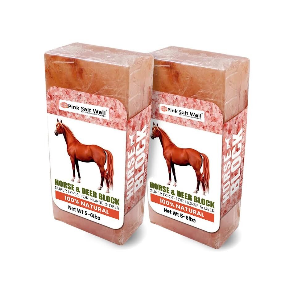 SALT LICK Himalayan Animal Salt Lick Block for Horses 12 lbs Deer Pack of 2