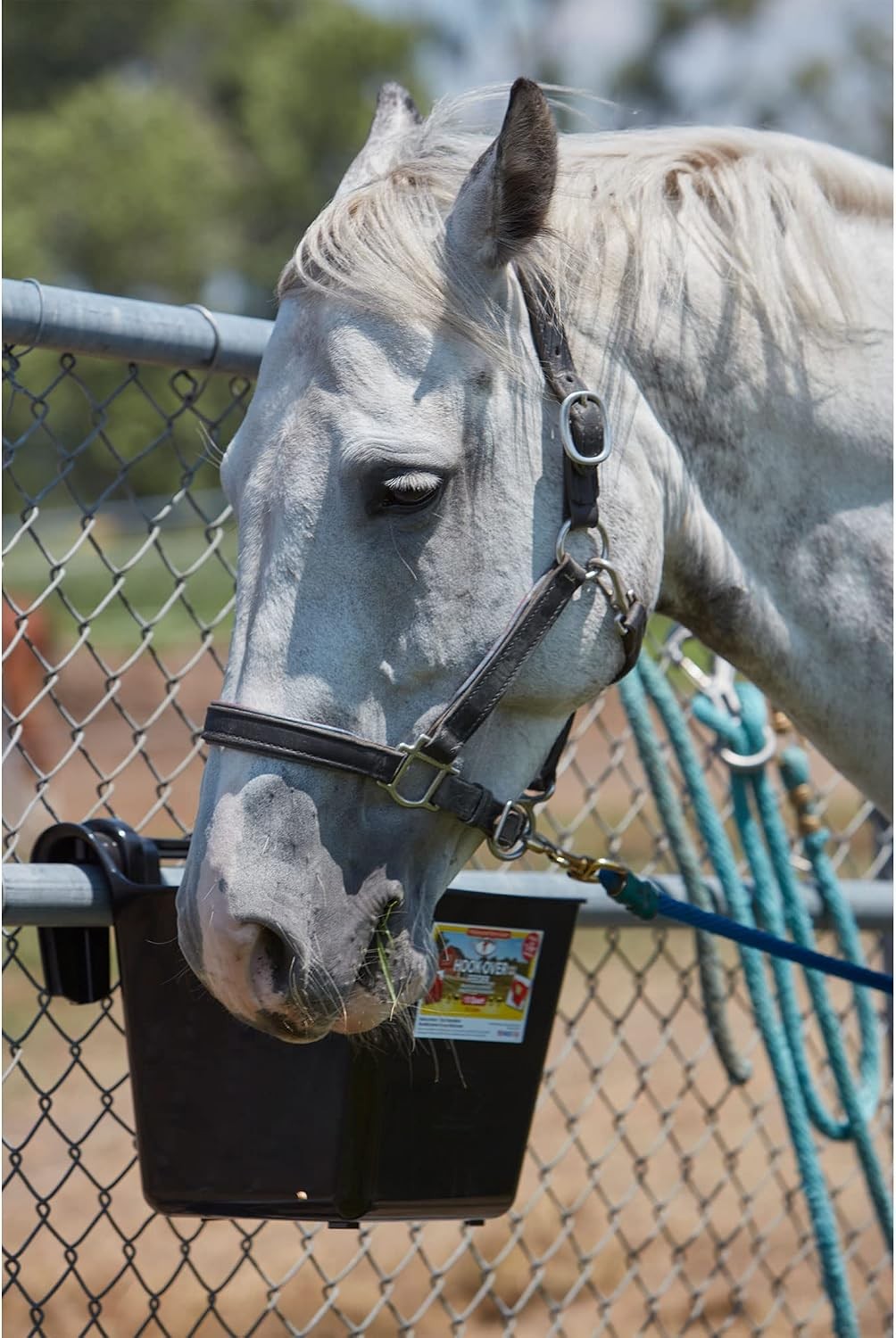 ® Plastic Hook Over Feeder Mountable Livestock & Pet Feed Bucket Horse Feed