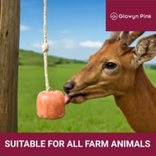 Glowyn Himalayan Salt Lick Block 6-Pack