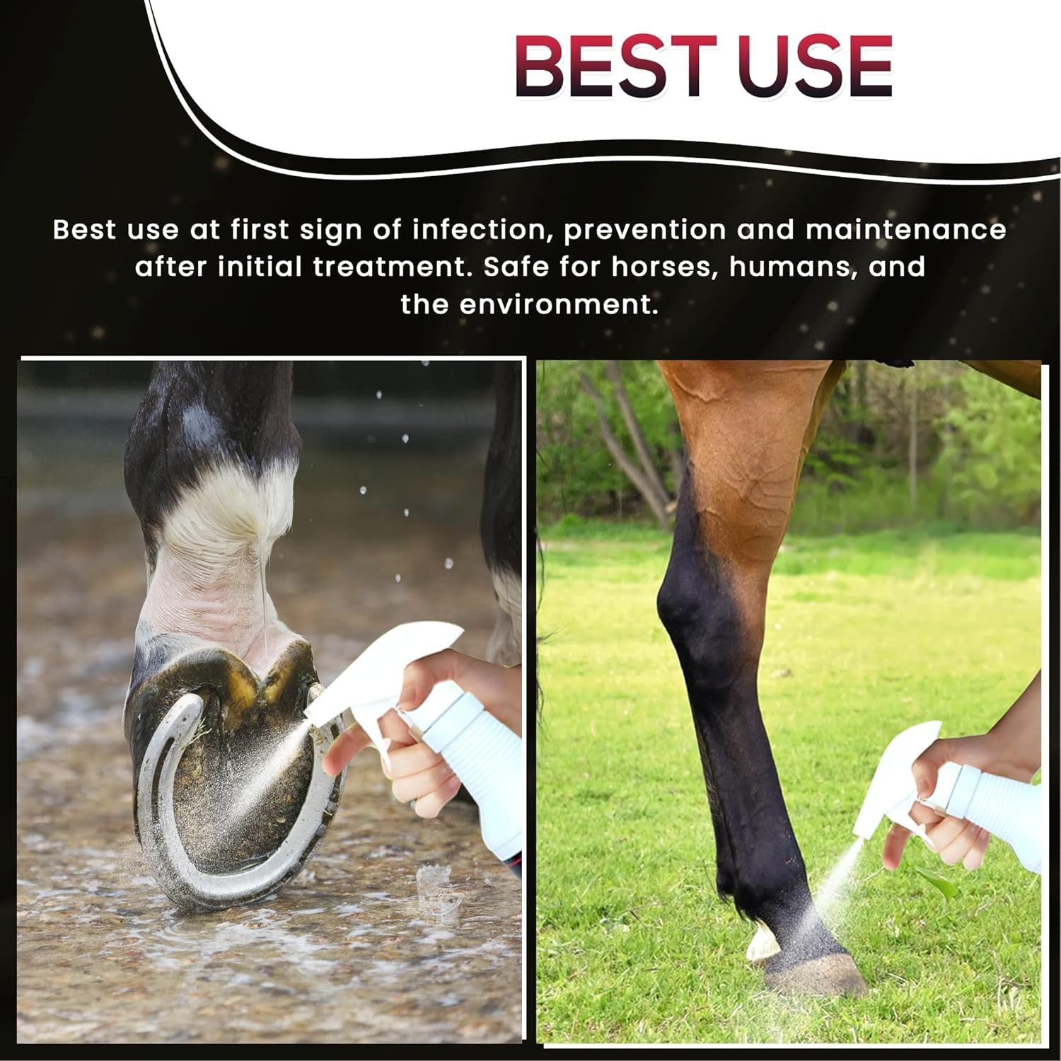 SBS Equine Spray | Hoof Treatment Provides Antiseptic Barrier Against Infecti…