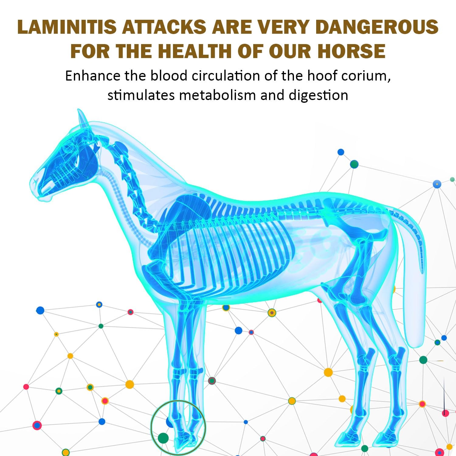 V-POINT – Laminitis Ease – hoof Supplements for Horses – Horse hoof Care Prod…