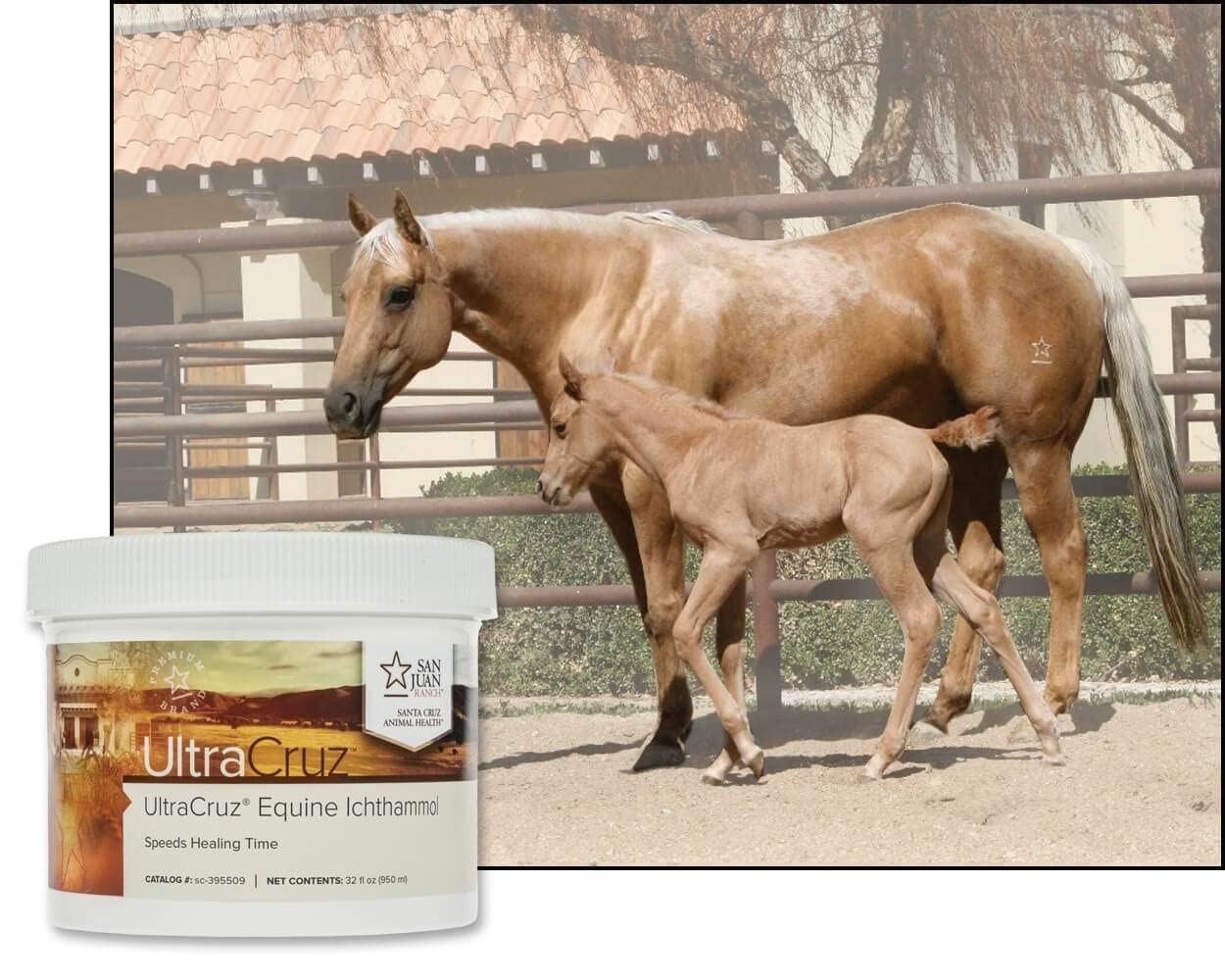 Equine Ichthammol 32oz – Topical Antiseptic Ointment