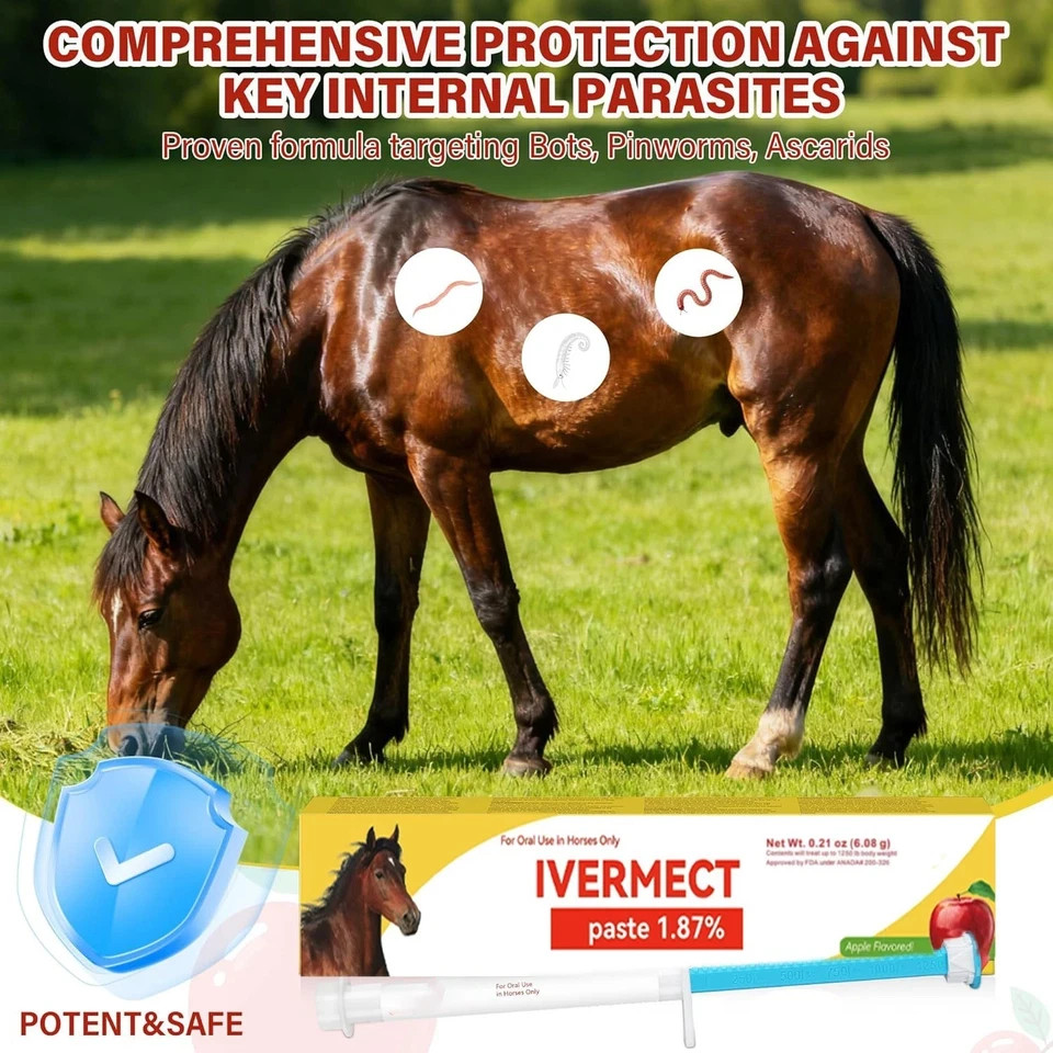 10 Pack New Paste Wormer Horse Dewormer Apple Flavor US Free Shipping EXP01/2028
