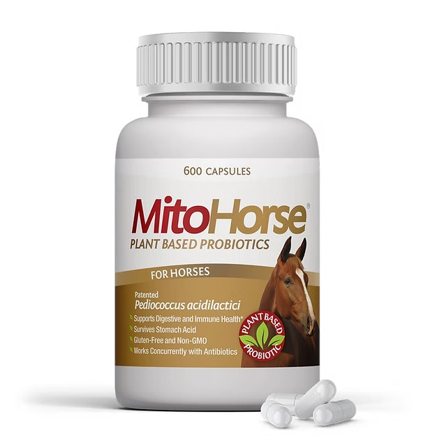 MitoHorse Plant-Based Probiotic for Horses Gut Digestive Support Supplement