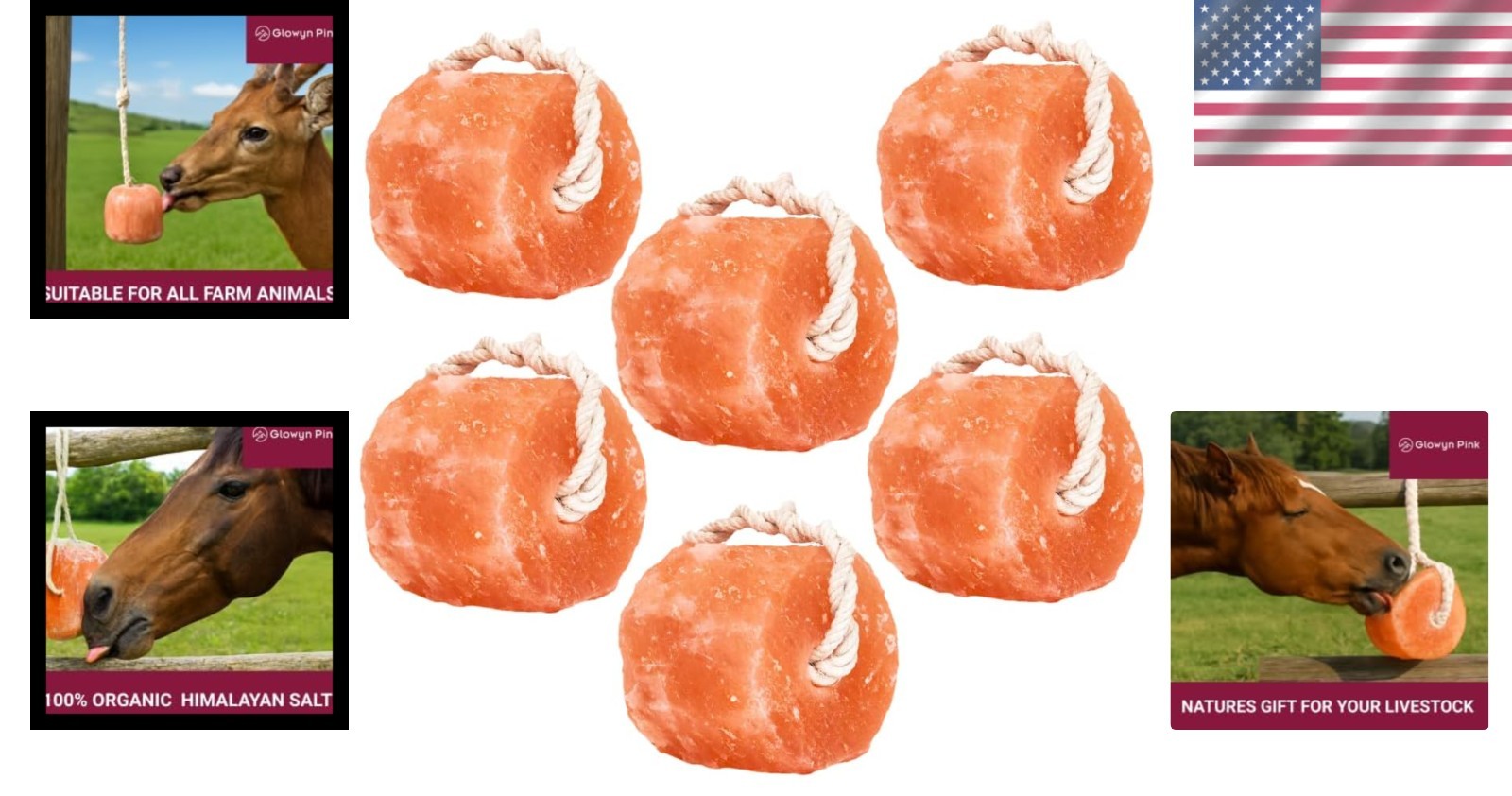 Glowyn Himalayan Salt Lick Block 6-Pack
