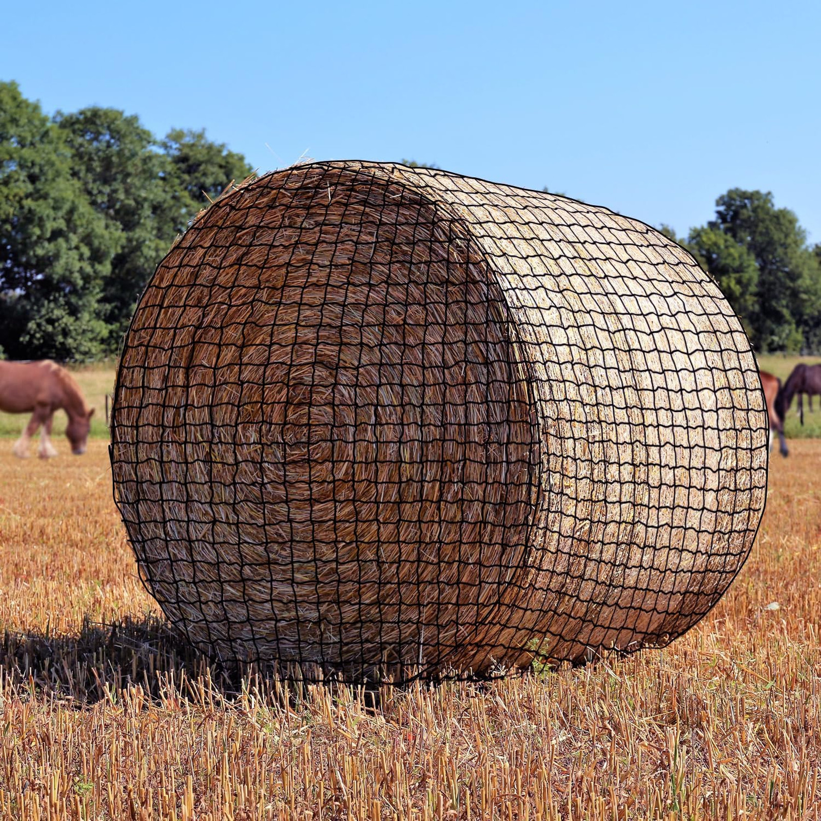 Large Round Bale Hay Net, 6×6 Ft Sturdy Hay Net Slow Feed for Horses, Fits Round