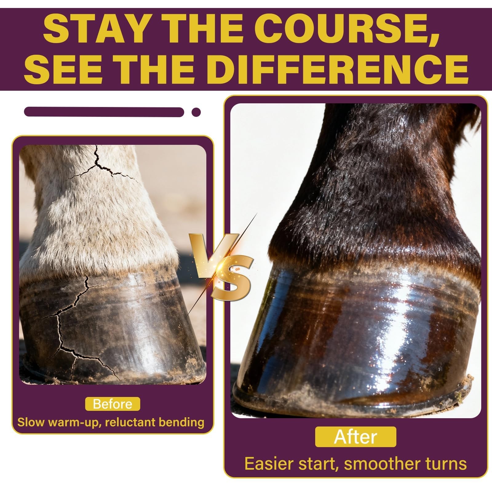 Hoof Supplements for Horses – MSM Strengthener, Supports Healthy Hooves & Growth