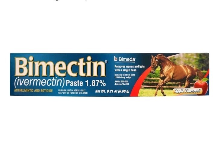 New! Bimeda HORSE ORAL PASTE 0.21 oz. (6.08 g) Apple Flavored 1 dose exp 10/2027