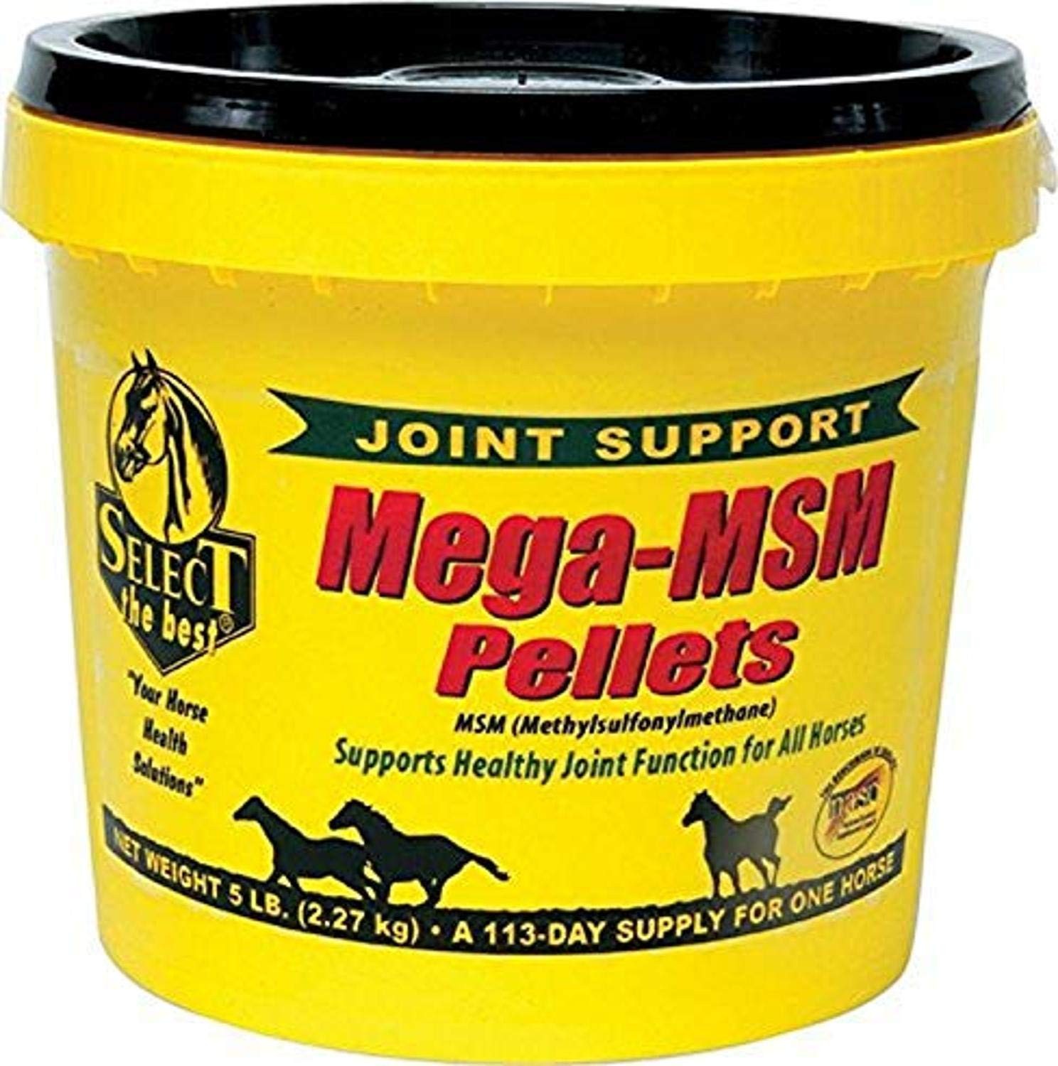 RICHDEL MegaMSM Pellets for Horses, 5.6 Pounds 5 Pound (Pack of 1)