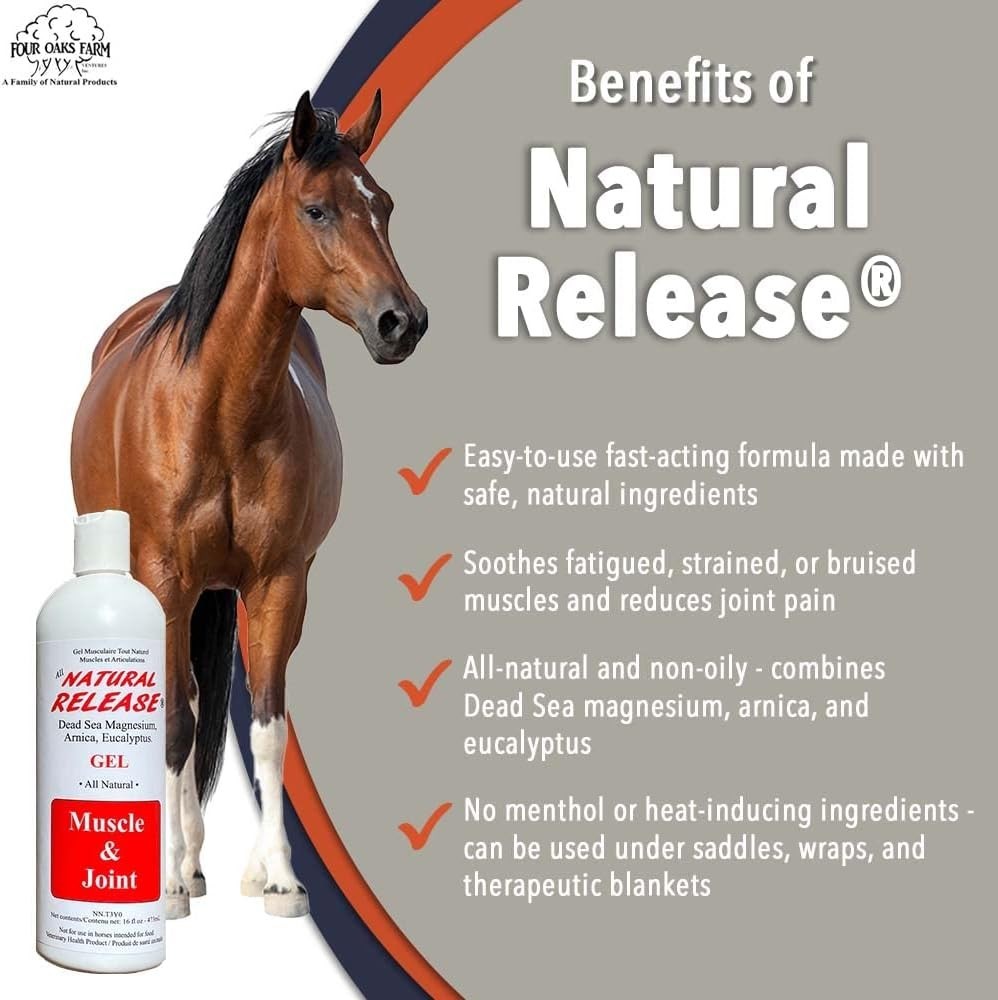Effective Eucalyptus Horse Liniment Gel – 16 oz for Muscle and Joint Pain