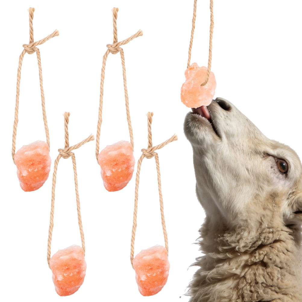 4 Pcs Salt Block Feeding Accessories Deer Mineral