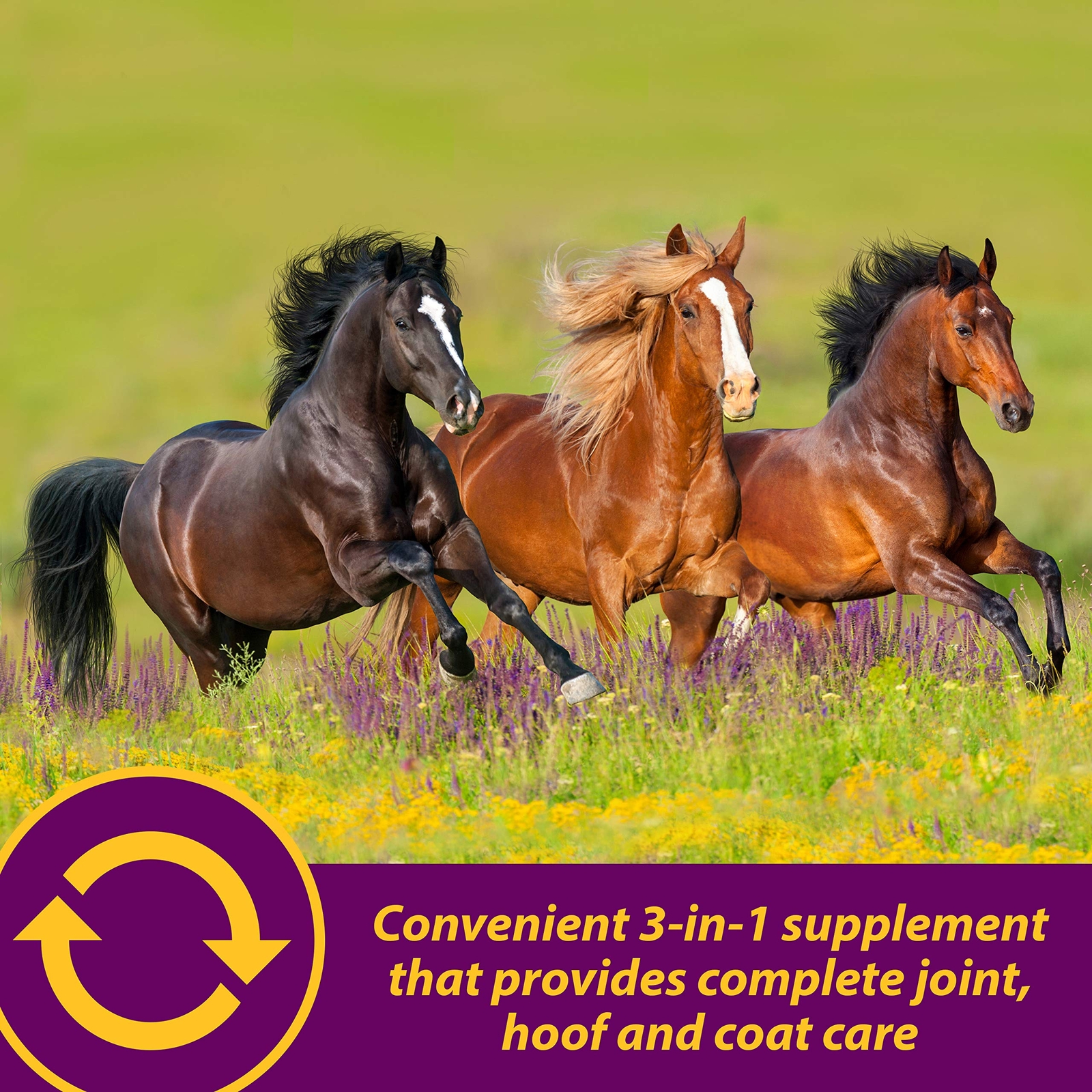 Horse Health Joint Combo Hoof & Coat Glucosamin Chrondroitin Vitamin C MSM