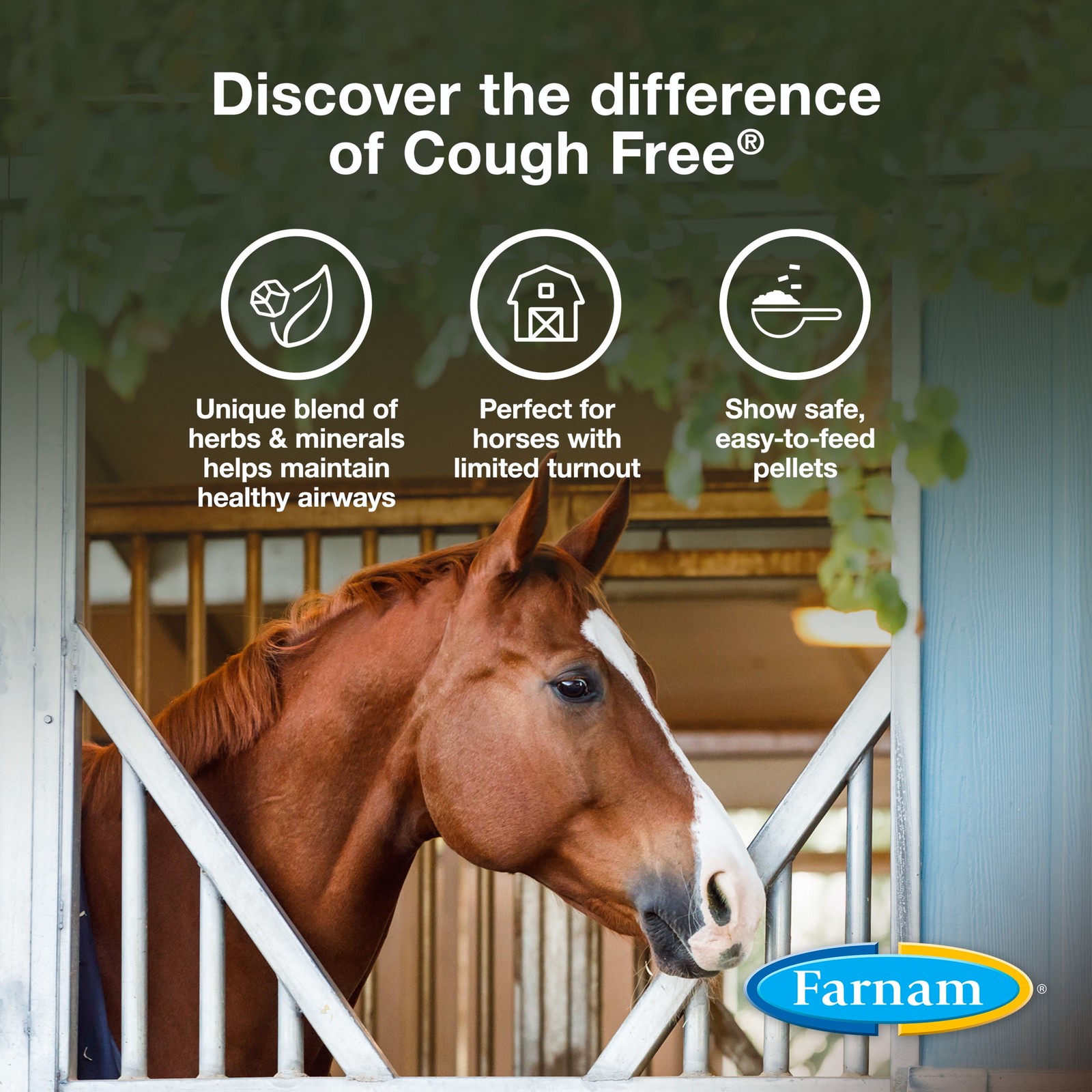 Farnam Cough Free Equine Respiratory Health Pellets, Provides respiratory suppor