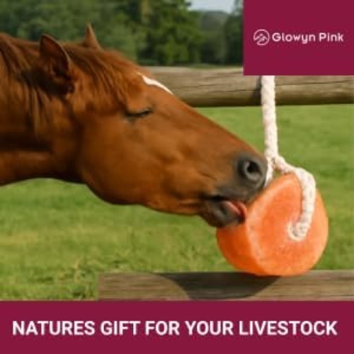 Glowyn Himalayan Salt Lick Block 6-Pack