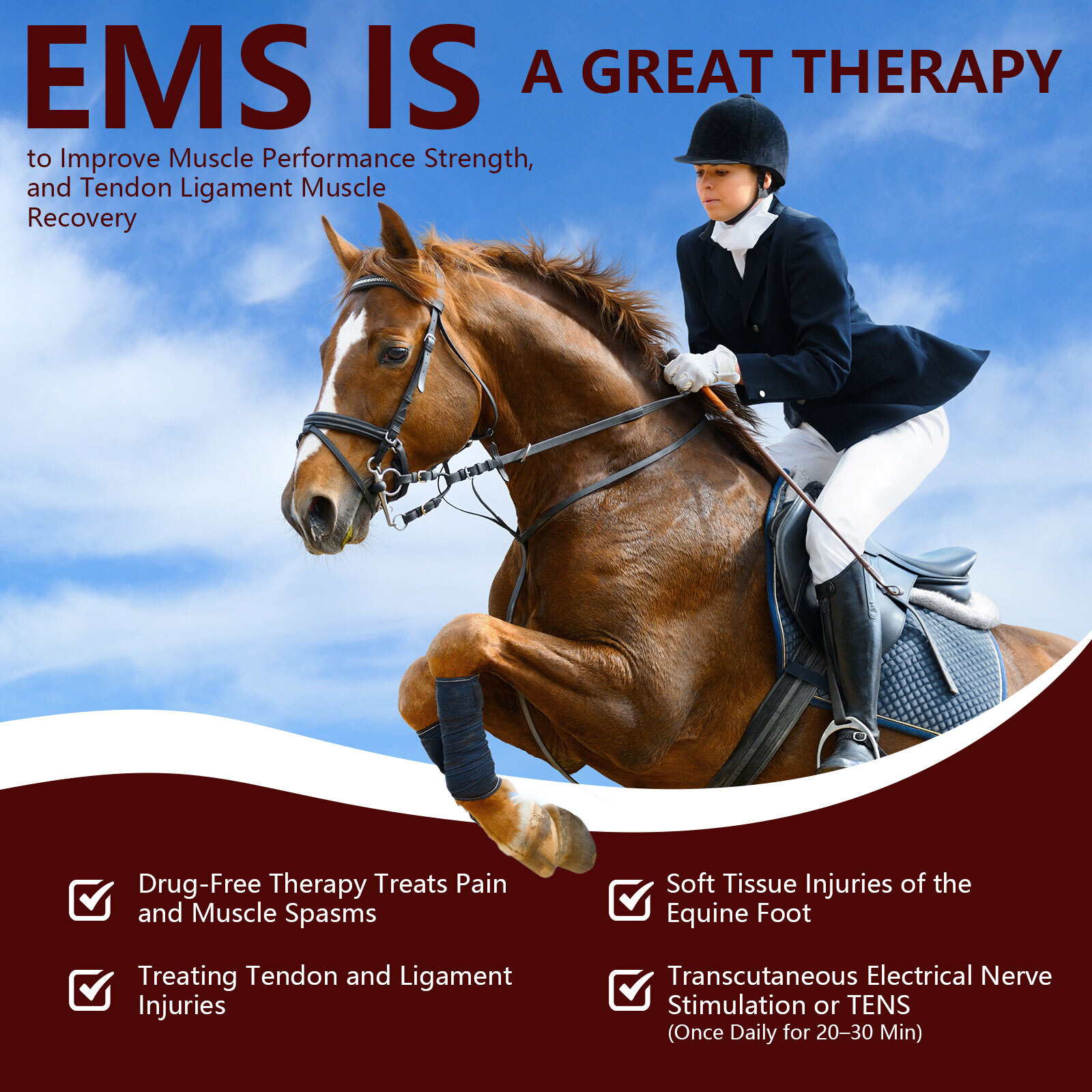Equine Canine Infrared light Therapy Horse Dog Red Cold Laser Rehab Device Home