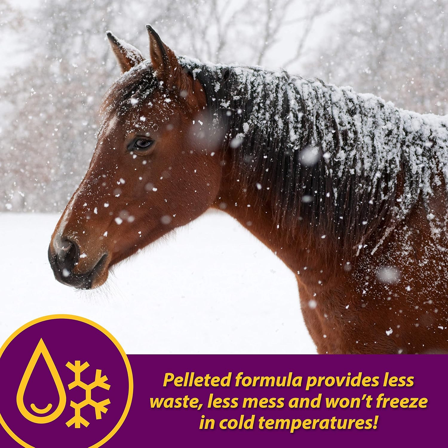 Farnam Red Cell Pellets, Vitamin-Iron-Mineral Supplement for Horses, Helps Fill
