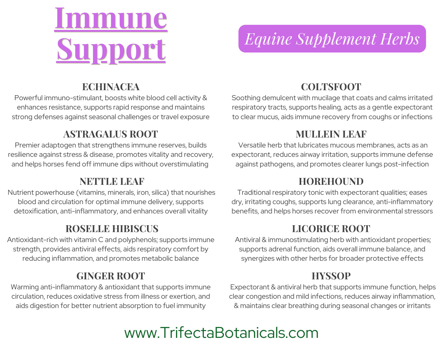 Immune Support Herbal Horse Supplement – Fast Acting Natural Herbs for Horses