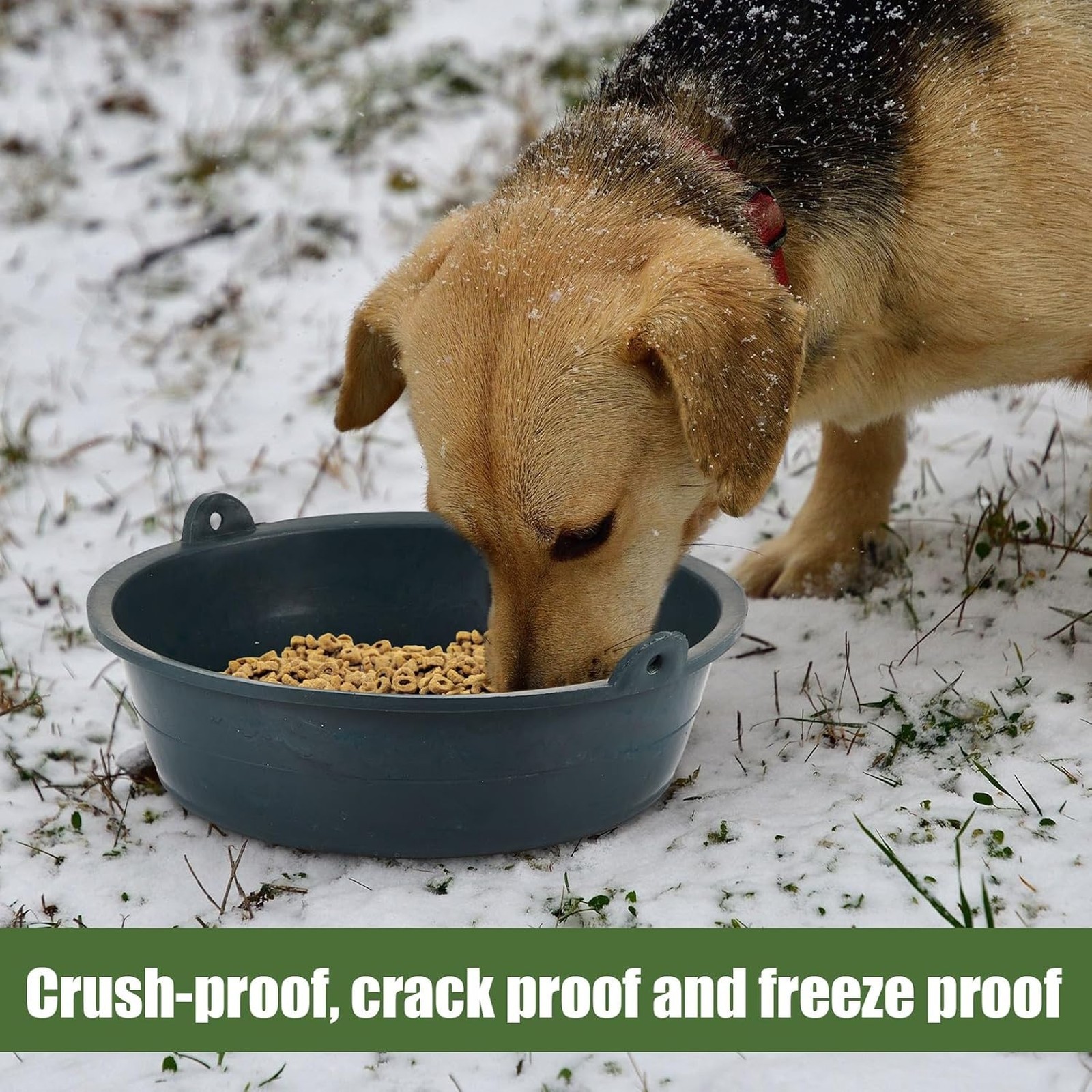 Feed Pan Set 0.75 Gallon Plastic Livestock Feeder Tubs for Horses Dogs Cats
