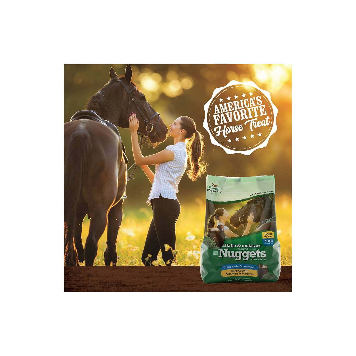 Alfalfa & Molasses Flavored Bite-Sized Nuggets Horse Treats, 4 lb