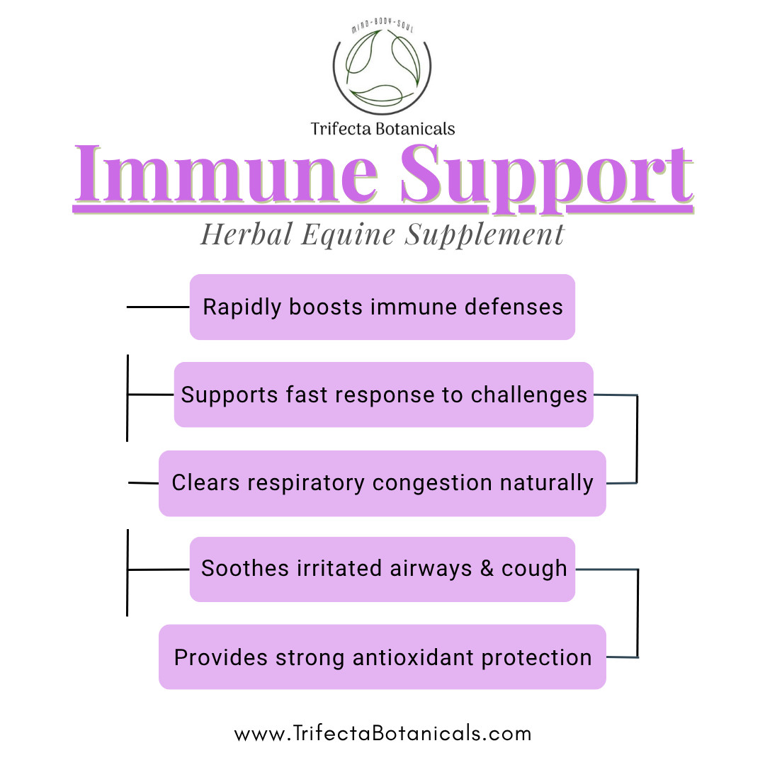 Immune Support Herbal Horse Supplement – Fast Acting Natural Herbs for Horses