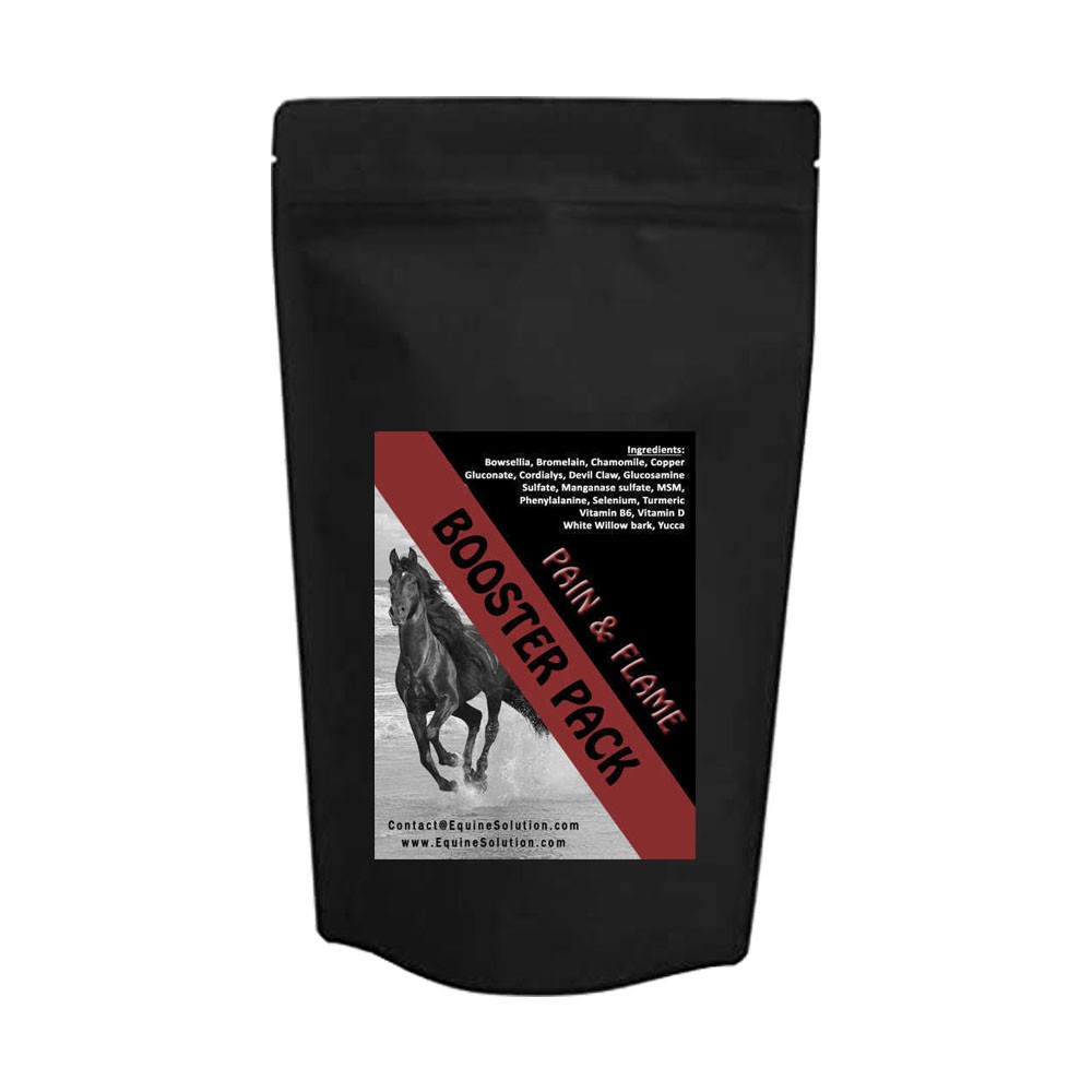 PAIN & INFLAMMATION Booster Pack for horses
