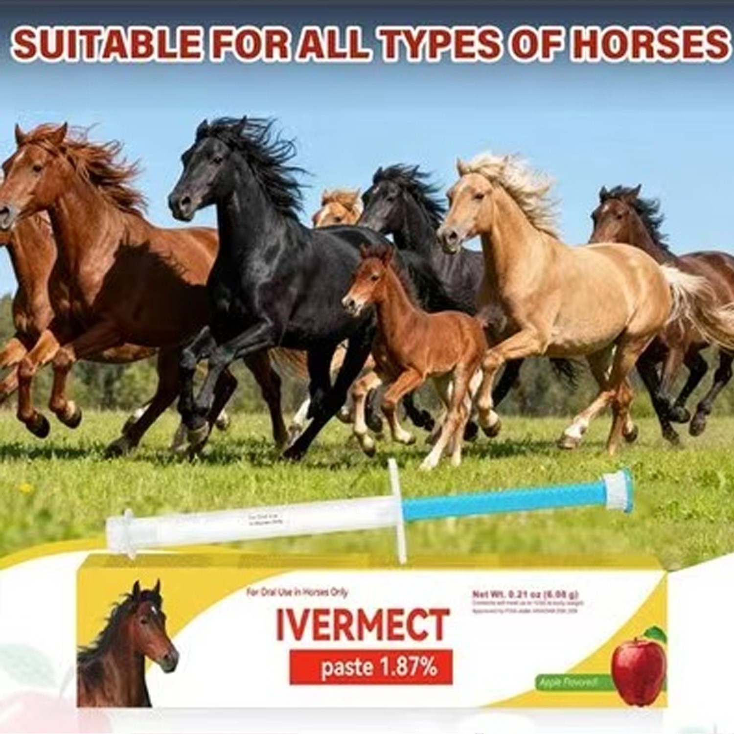10 Pack New Paste Wormer Horse Dewormer Apple Flavor US Free Shipping EXP 1/2028