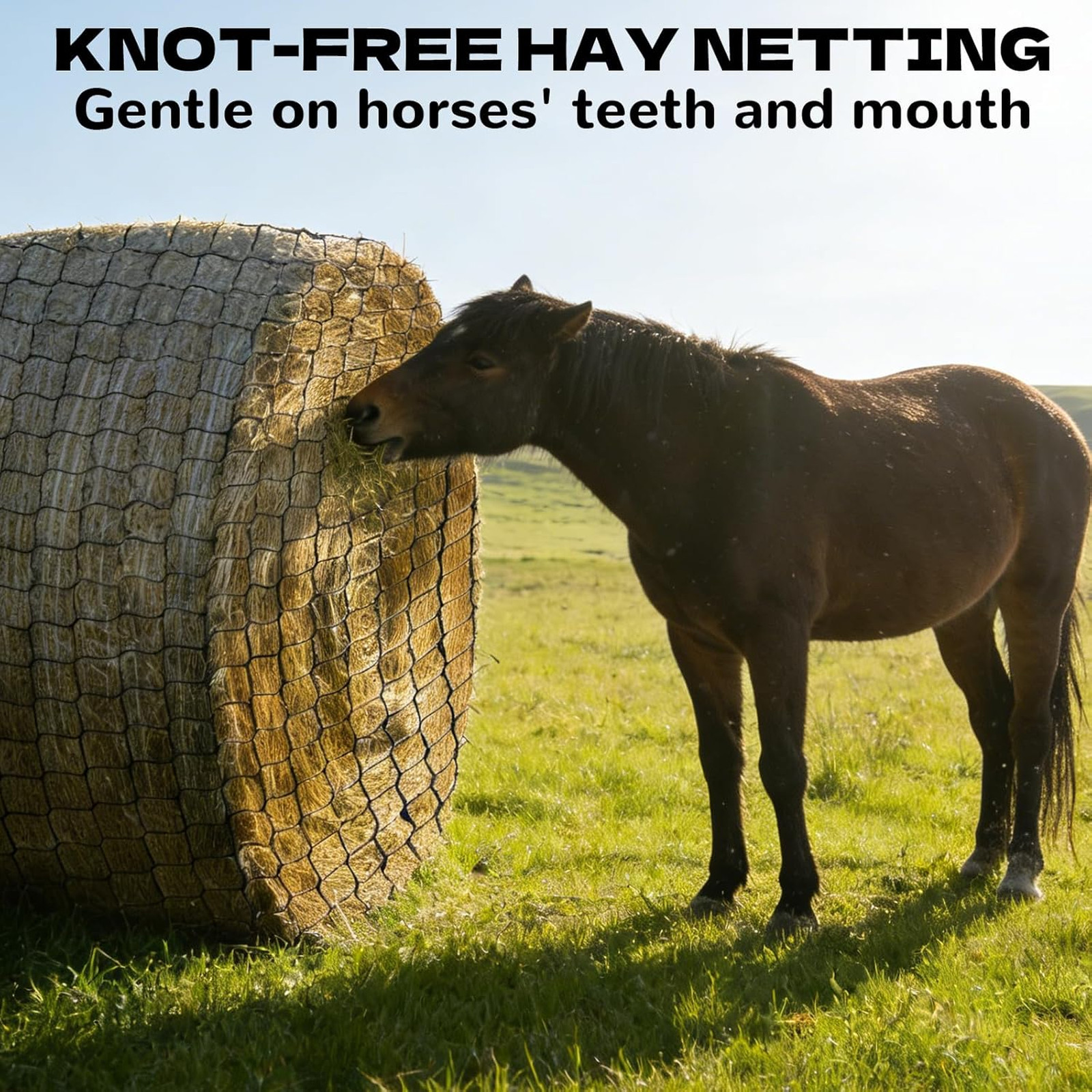 5×5 FT Heavy Duty Slow Feed Hay Net, 1.57-Inch Knotless Weatherproof Nylon Hay