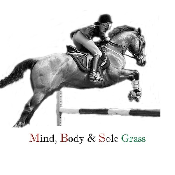 All In One Horse Supplement Mind, Body & Sole Grass Skin, Digestion, Hoof, Joint