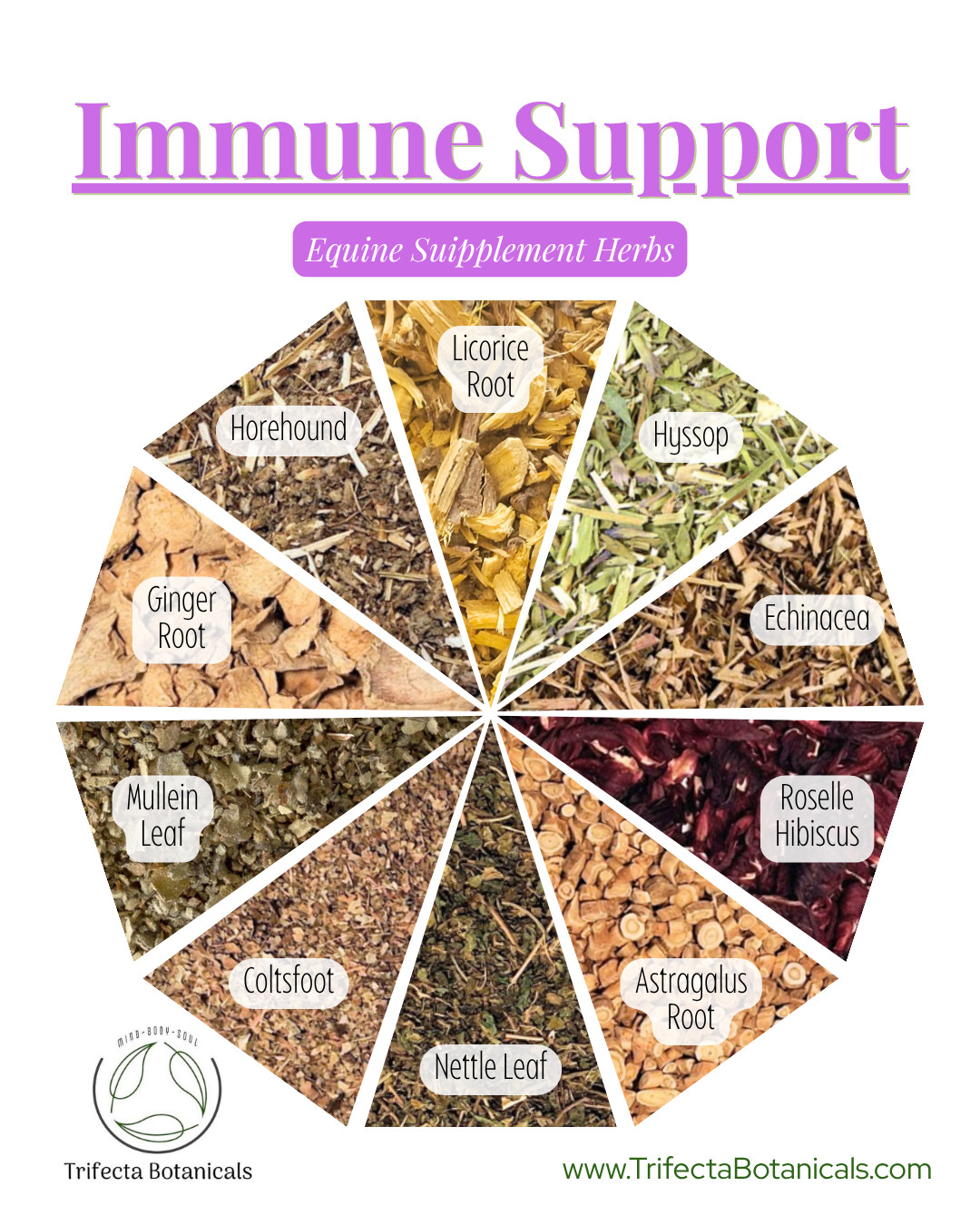 Immune Support Herbal Horse Supplement – Fast Acting Natural Herbs for Horses