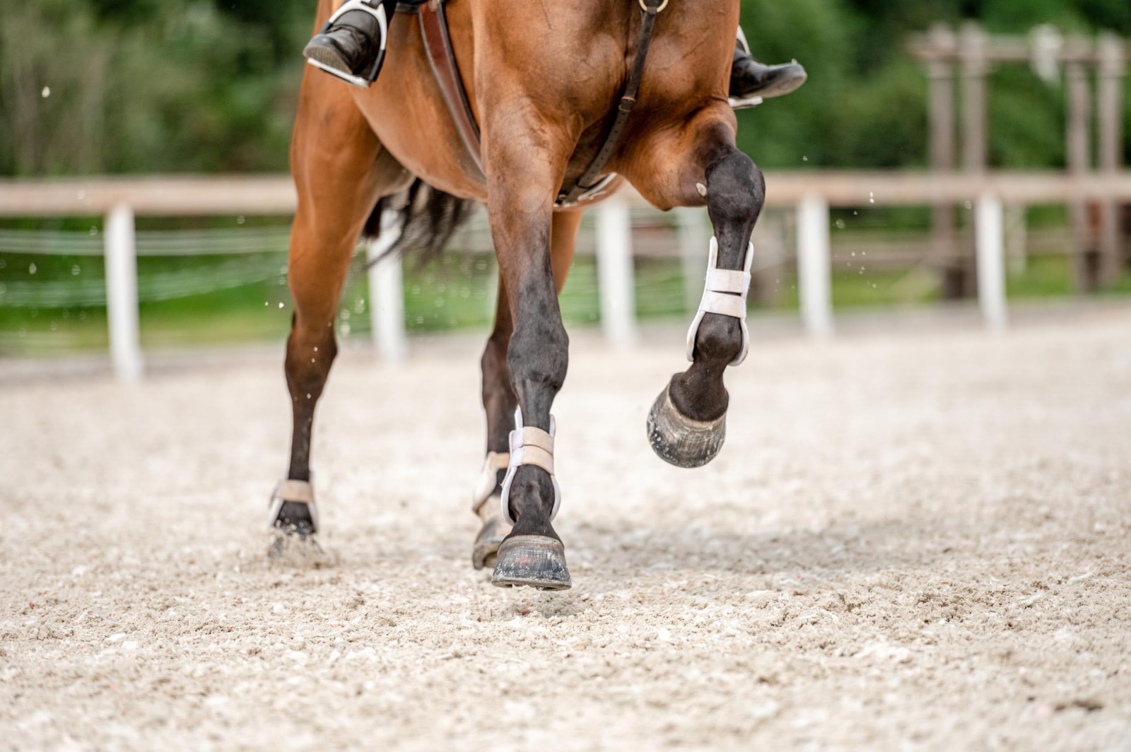 Biotin II 22X (5lb) Hoof for Horses