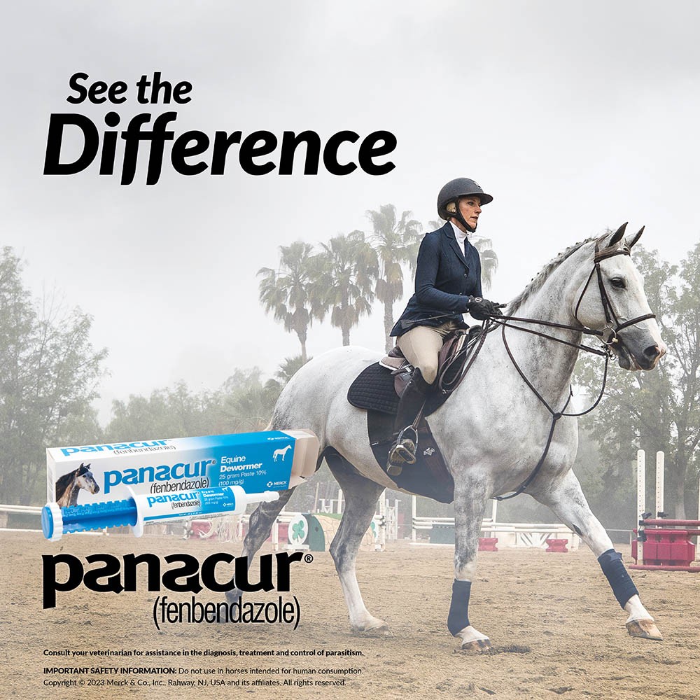 Panacur Equine Dewormer, 25 gram Paste 10%