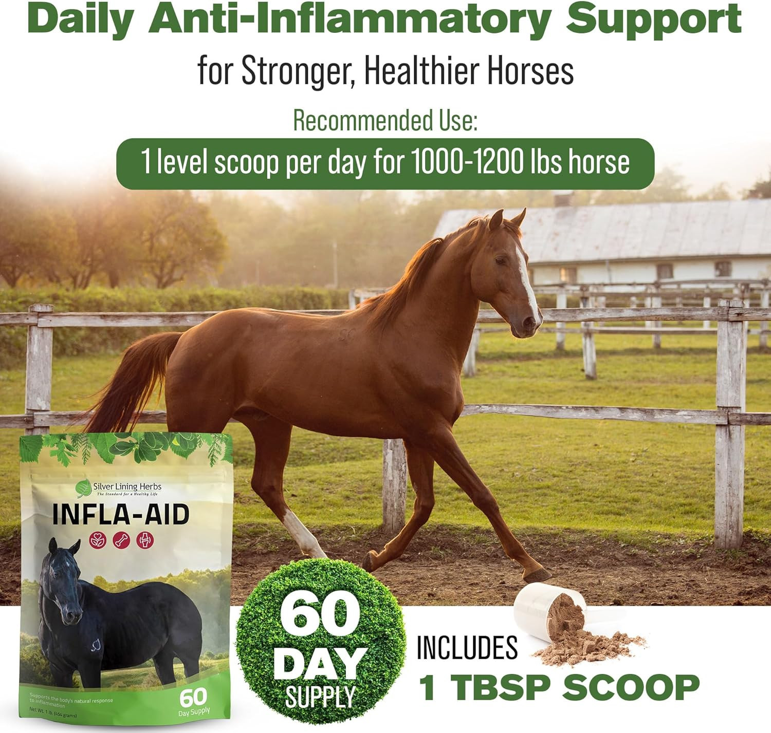 Infla-Aid for Horses – Natural anti Inflammatory Supplement for Inflammation Rel