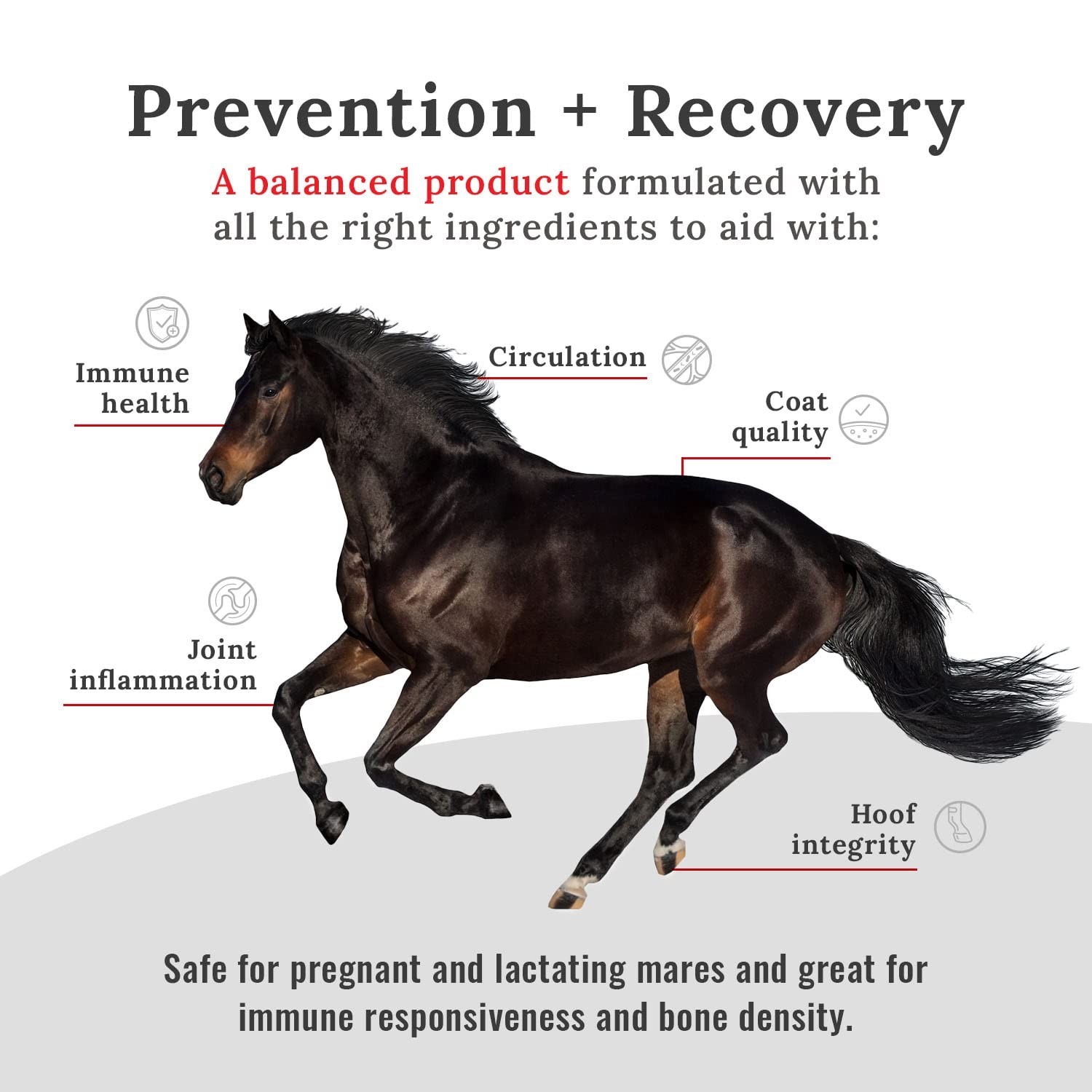 Mojo Joint Horse Supplements, Equine Food Grade Pelleted Supplement, All Natu…