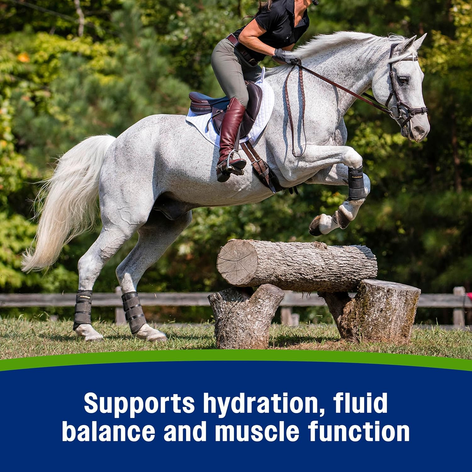 Apple Elite Electrolyte Paste Supplement for Horses, 60 Cc Syringe, Replaces Vit