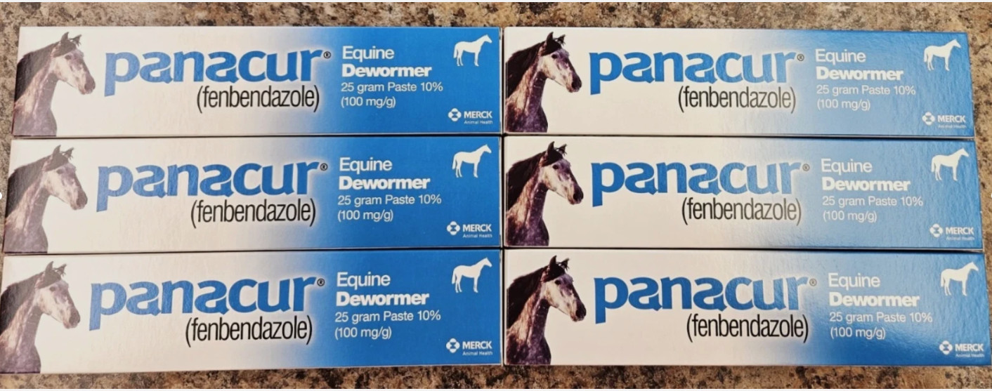 Panacur Equine Paste Horse Dewormer 25 grams, 6 Tube Lot – New Fast Ship