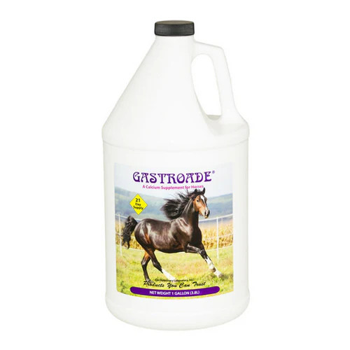 Gastroade Calcium Supplement for Horses 1 Gallon