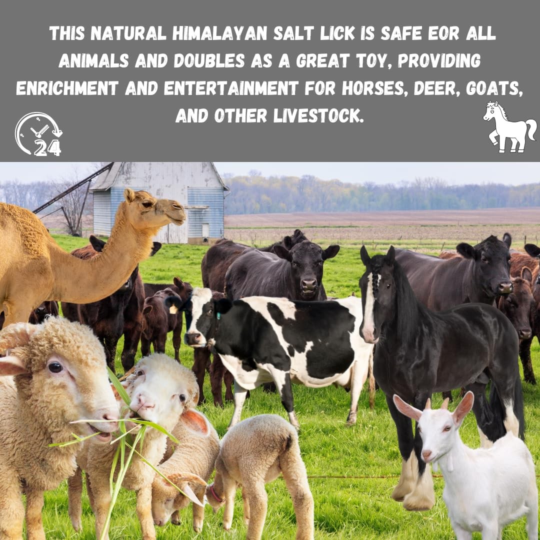 Himalayan Salt Lick for Horses, Deer, Goats, and Livestock – Salt Block on Rope