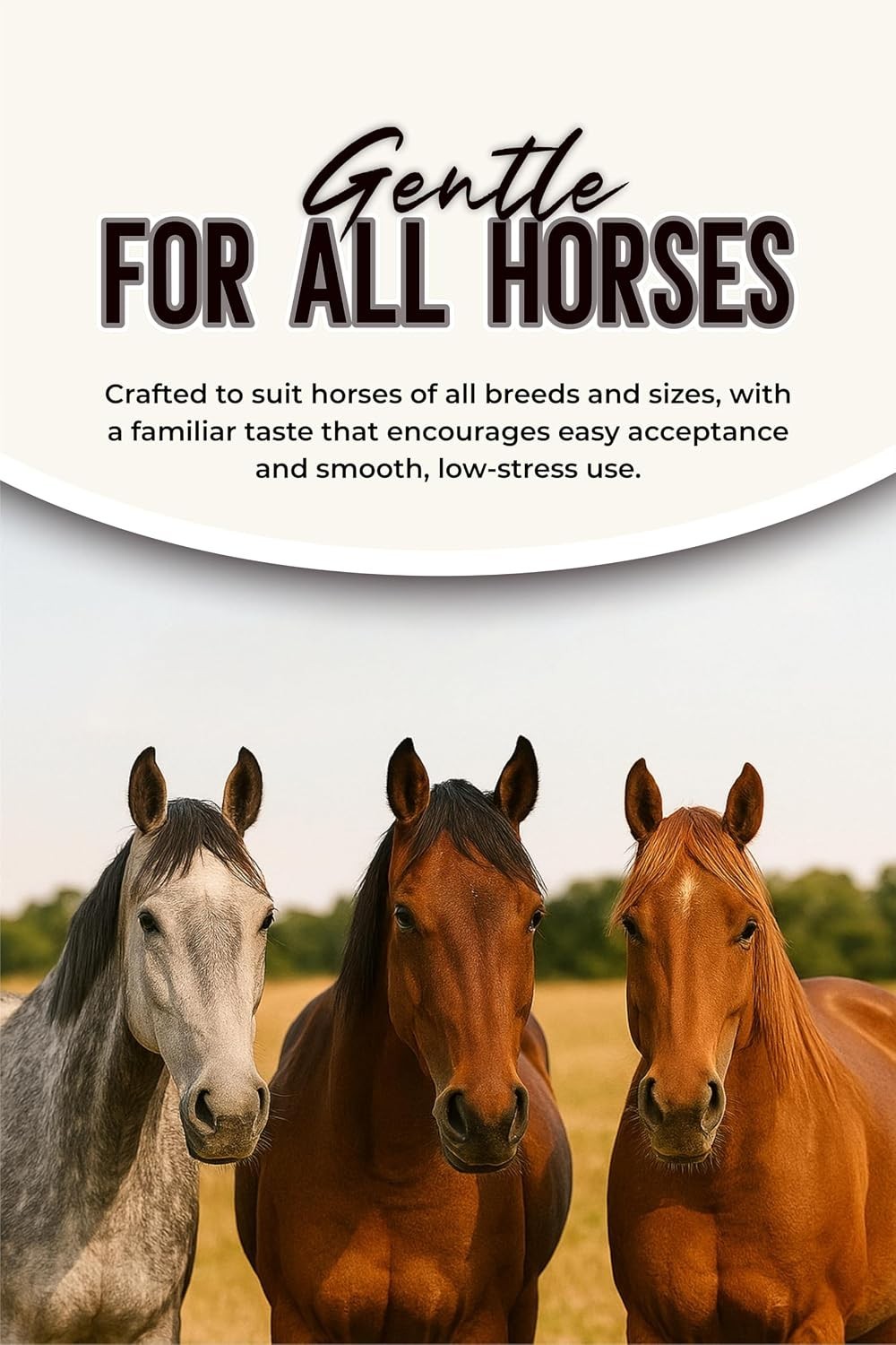 Clenvia 12 Pack New Paste Wormer Horse Dewormer Apple Flavor US Free Shipping