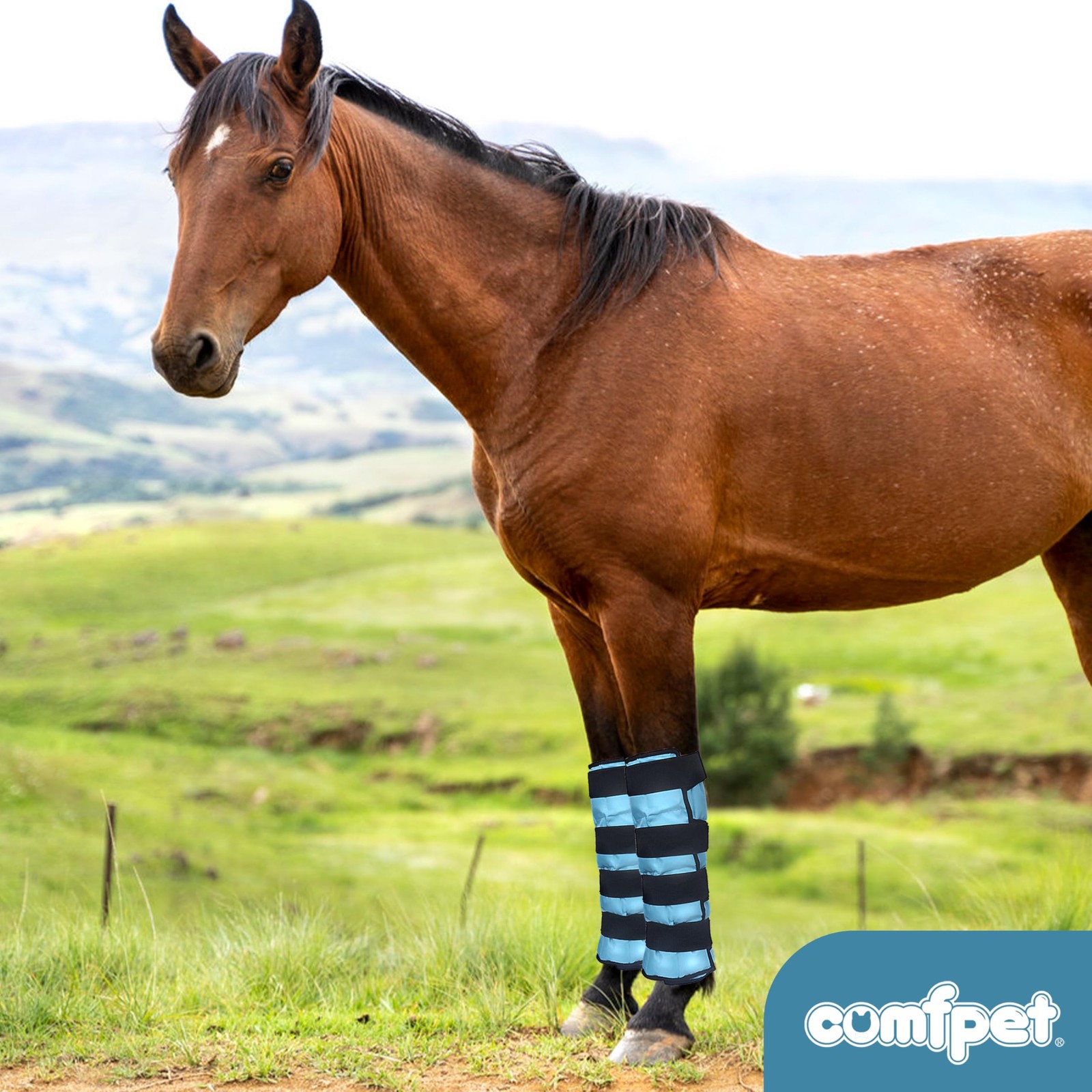 COMFPET Gel Horse Ice Pack with Carry Case, Reusable Cooling 1 PACK, Blue