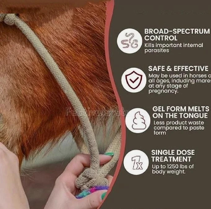 200 Pack Horse Dewormer Paste Apple Flavor Fast Free Exp 01/2028 US