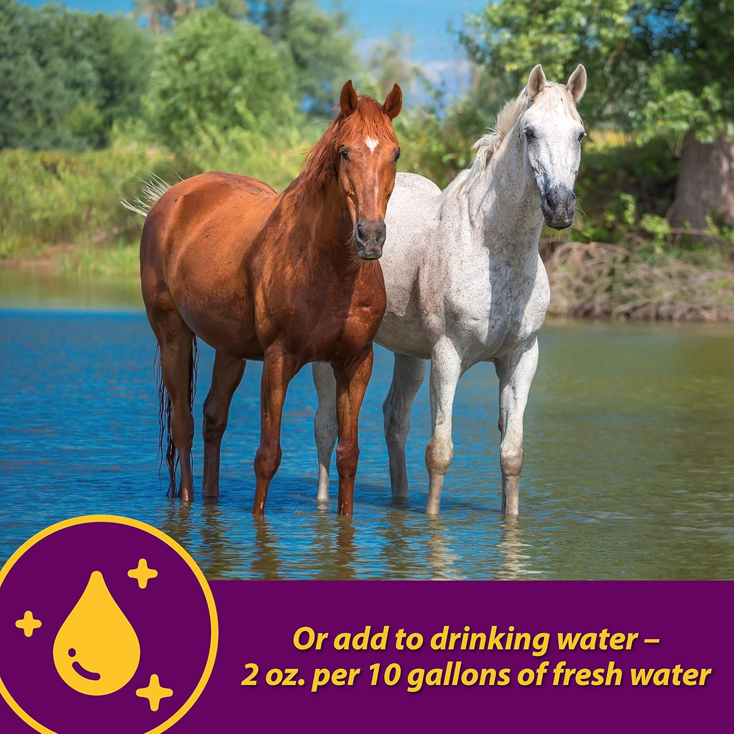 Horse Health Apple-Dex Apple Flavored Electrolytes 30 Pound 240 Days