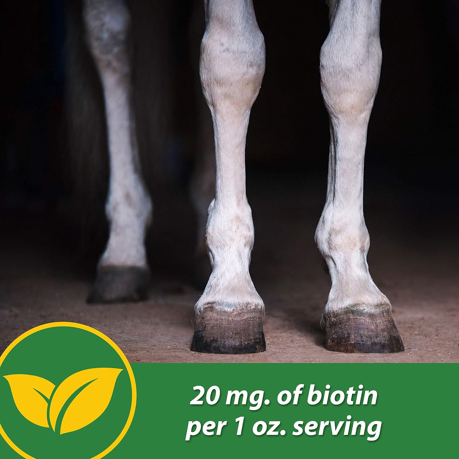HB 15 Hoof Supplement, Supports Healthy Hoof Growth 3 Pound, 48 Day Supply