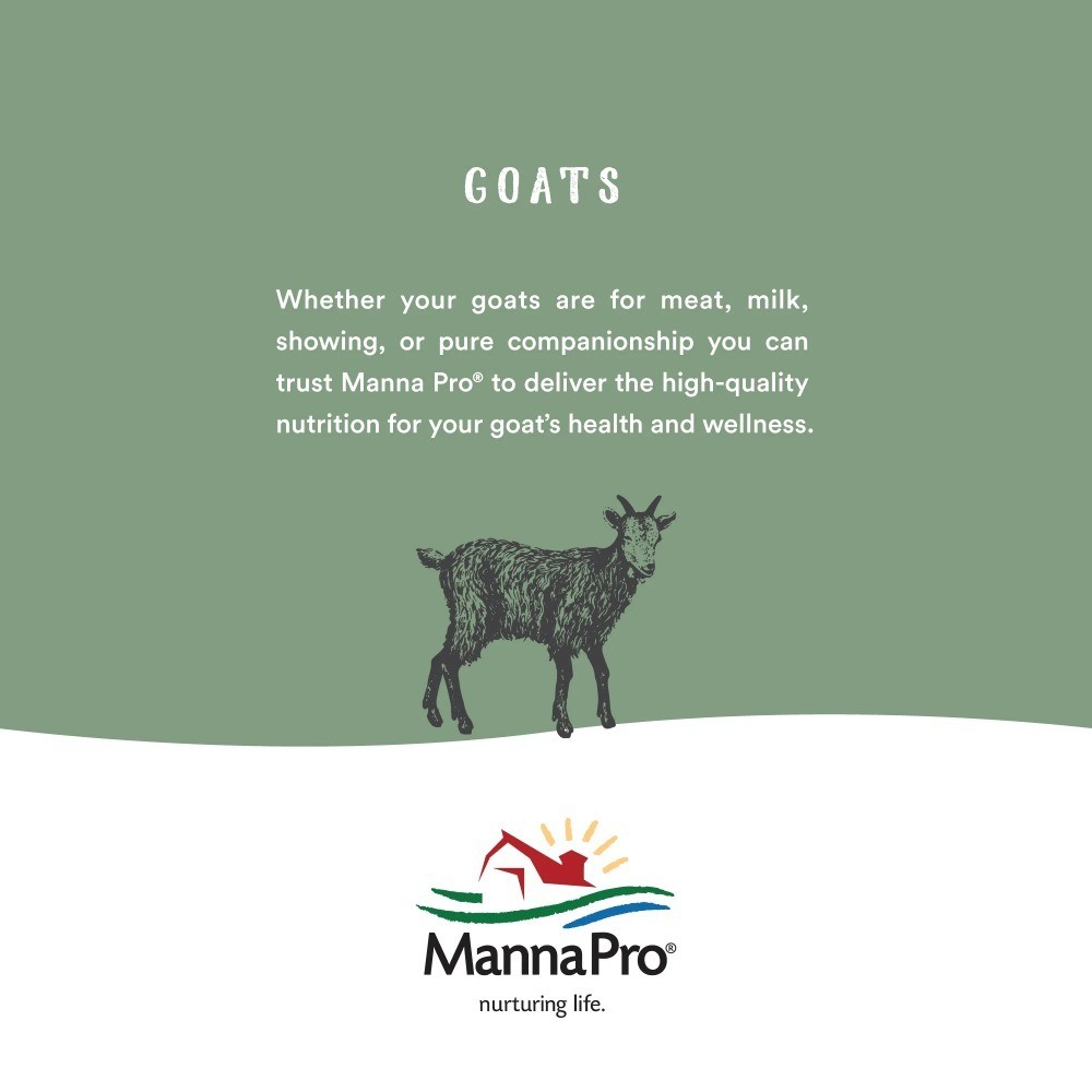 Fresh Goat Colostrum Powder for Newborn Kids 8 oz Natural Immune Support