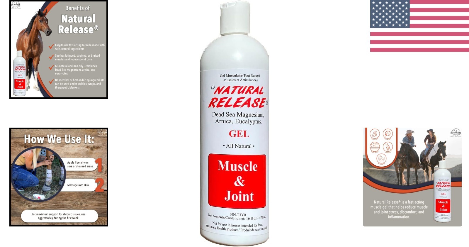 Effective Eucalyptus Horse Liniment Gel – 16 oz for Muscle and Joint Pain