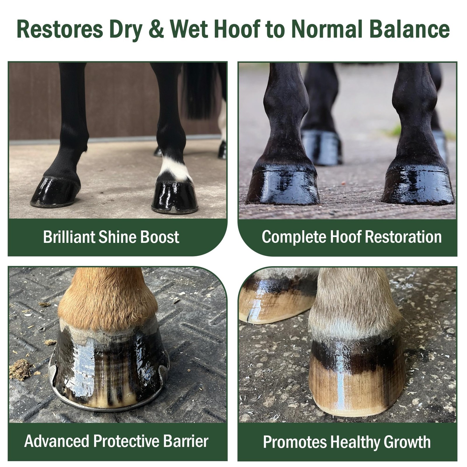 Hoof Oil, Horse Hoof White Line, Thrush, Abscesses, Overall Hoof Strength, Gr…
