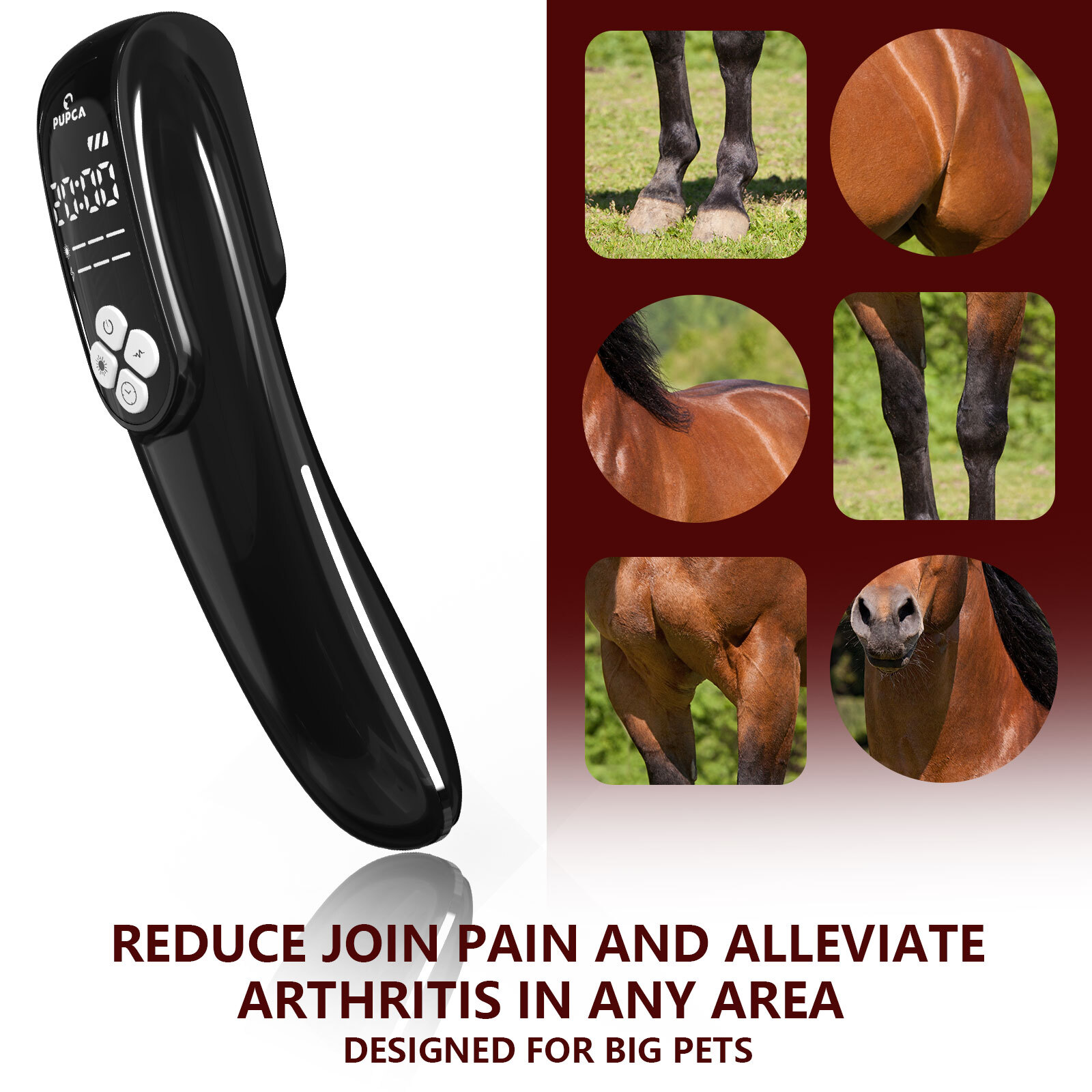 Equine Canine Infrared Red Light Therapy Devices Body Knee Shoulder Human Pets