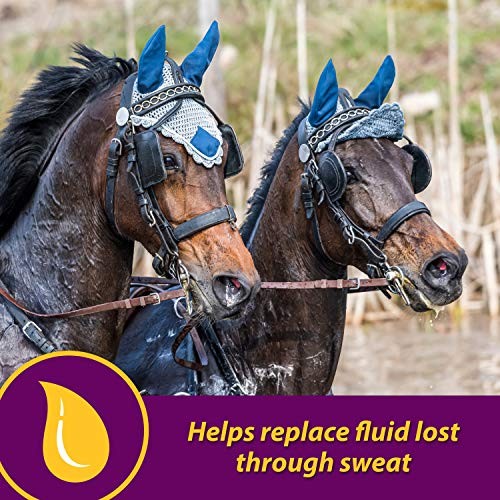 Horse Health Apple-dex Apple Flavored Electrolytes For Horses 5 Pound