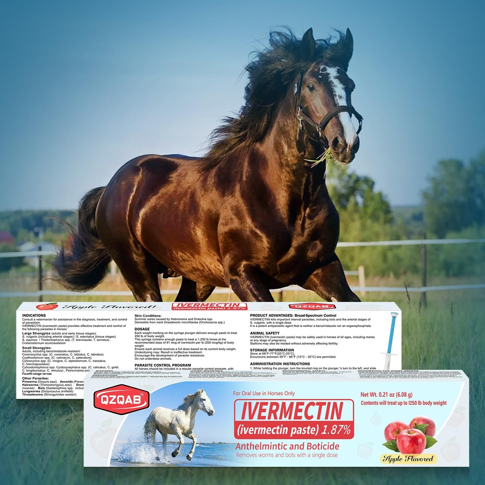 Equine Dewormer Paste 1.87% – Apple Flavor, 6-Pack Oral Treatment for Horses